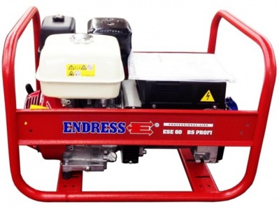 Электростанция бензиновая Endress ESE 60 BS profi